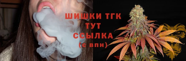 тгк Алексин