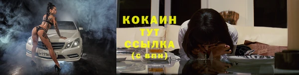 дживик Алзамай