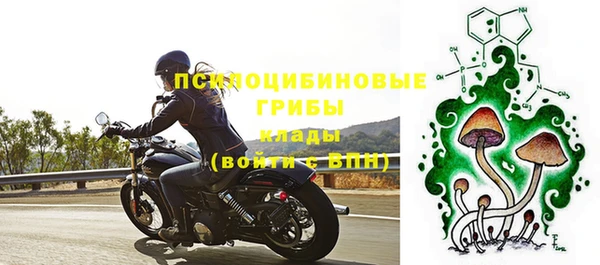 дживик Алзамай