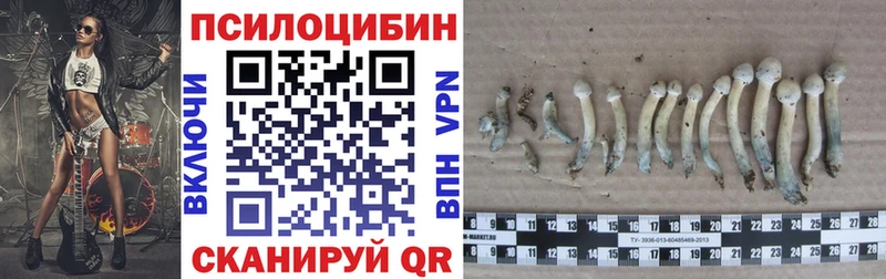 Галлюциногенные грибы прущие грибы  Кизел 